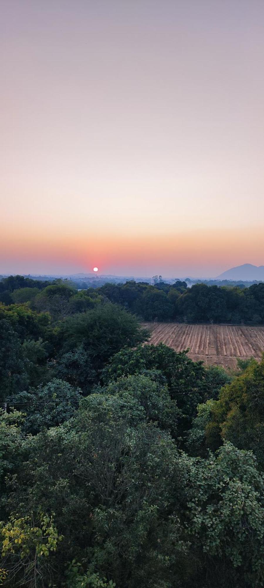 The Secret Garden Bed & Breakfast พุชการ์ ภายนอก รูปภาพ