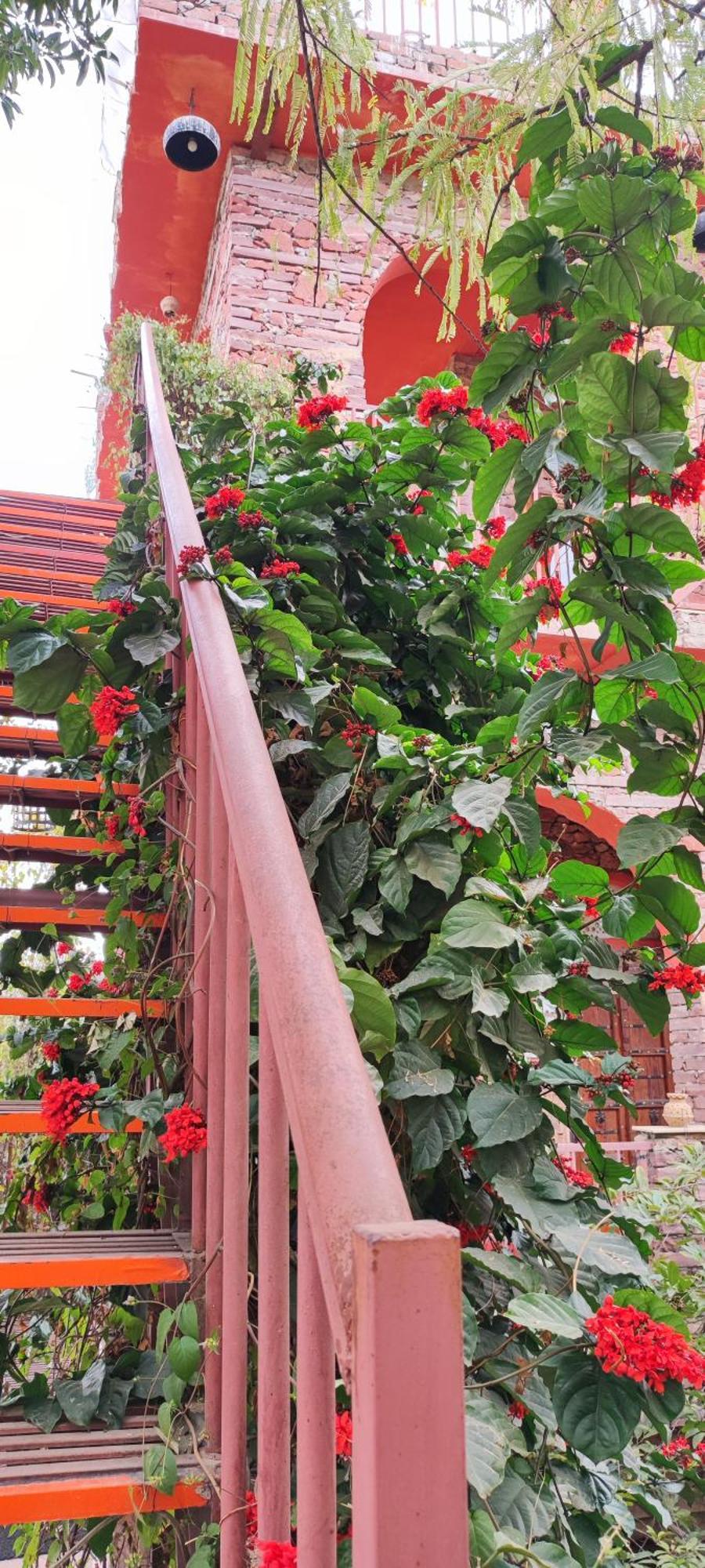 The Secret Garden Bed & Breakfast พุชการ์ ภายนอก รูปภาพ