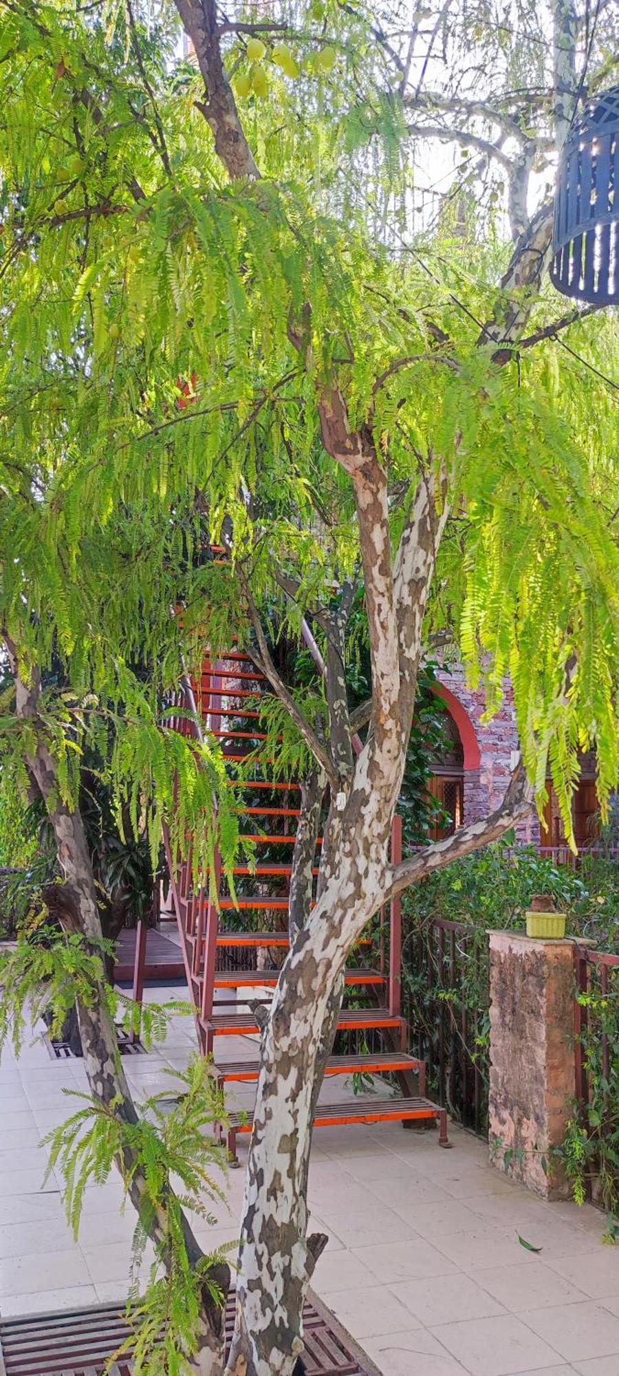 The Secret Garden Bed & Breakfast พุชการ์ ภายนอก รูปภาพ