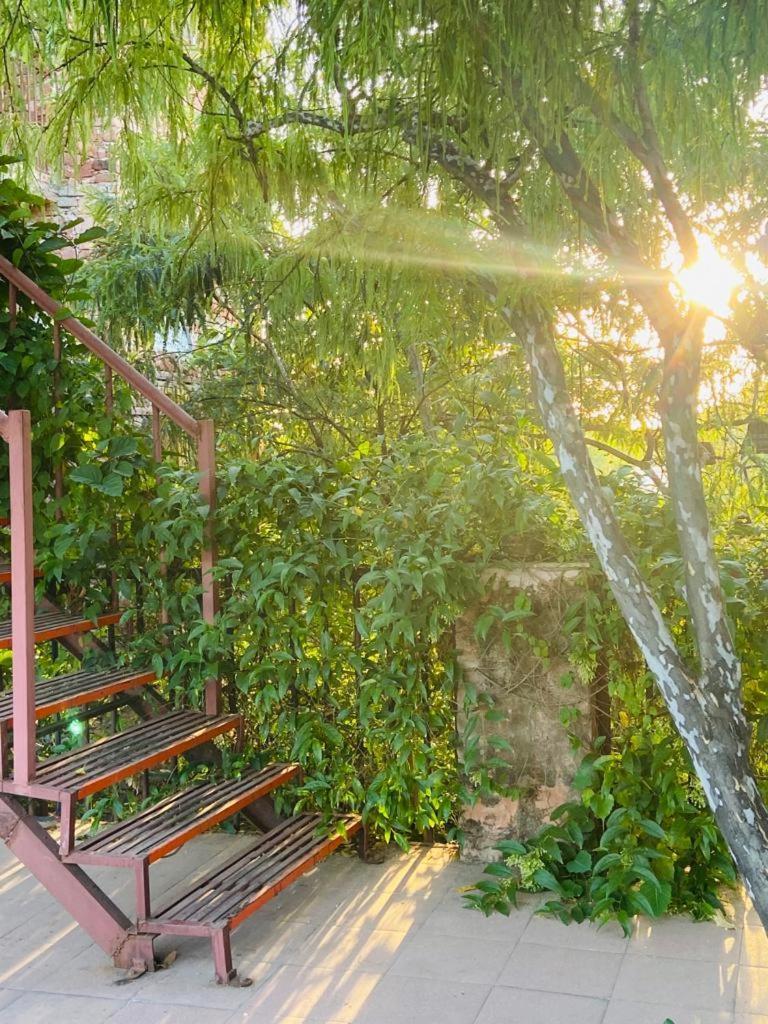 The Secret Garden Bed & Breakfast พุชการ์ ภายนอก รูปภาพ