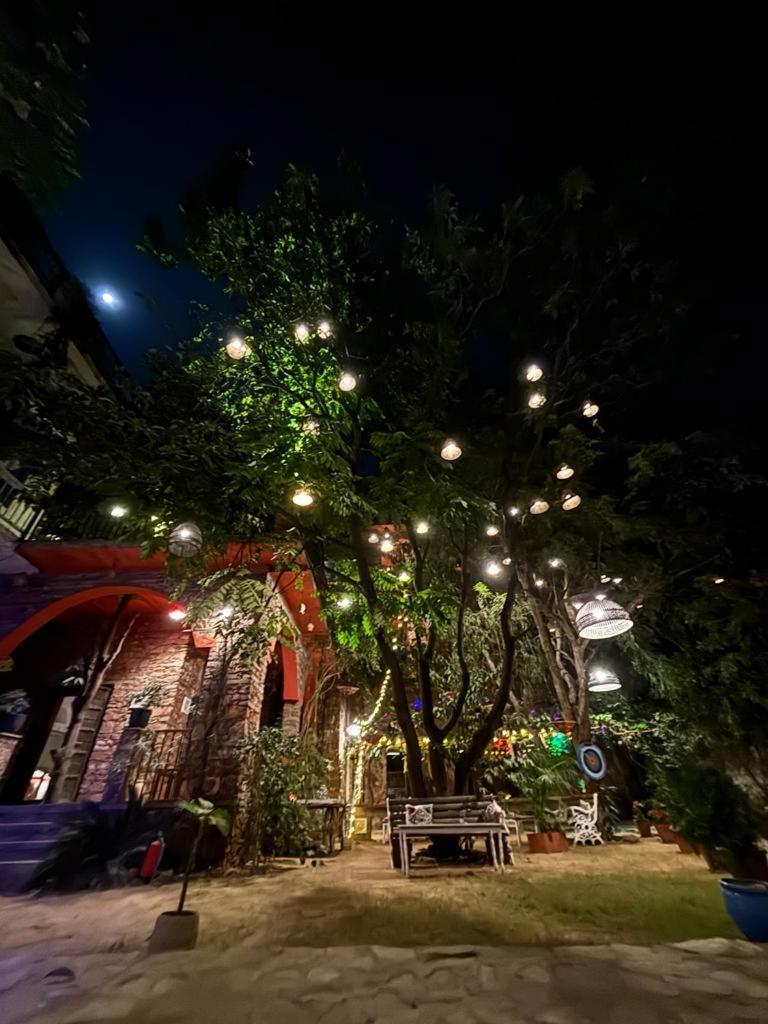 The Secret Garden Bed & Breakfast พุชการ์ ภายนอก รูปภาพ