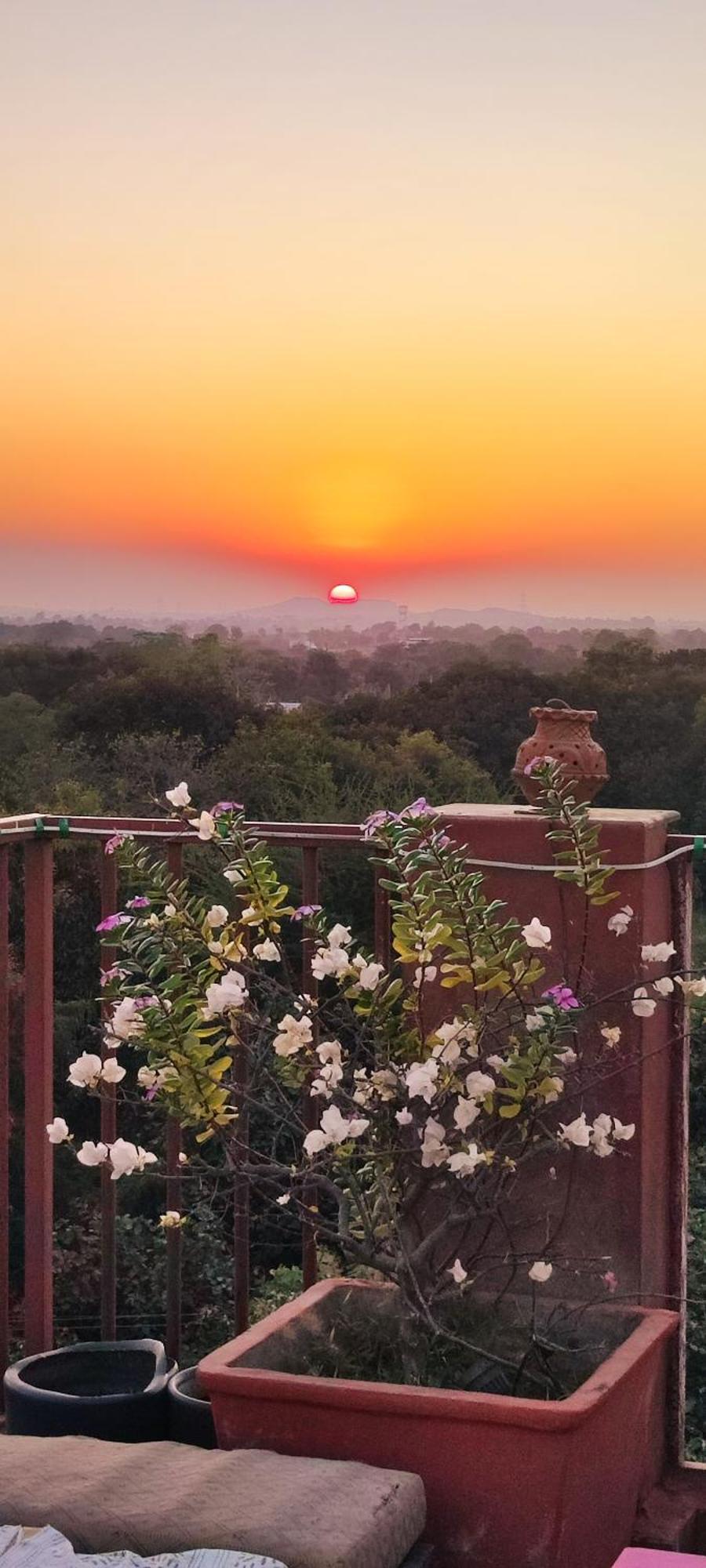 The Secret Garden Bed & Breakfast พุชการ์ ภายนอก รูปภาพ